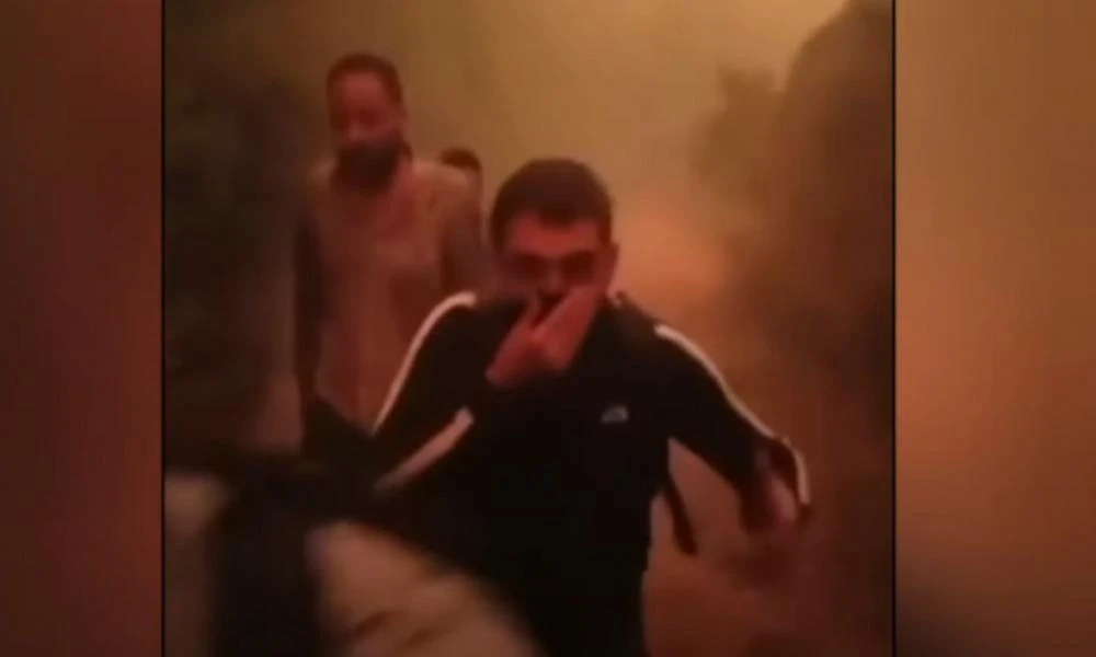 Φωτιά στον Έβρο: Σοκαριστικό βίντεο! Οι τελευταίες στιγμές των 18 μεταναστών που βρέθηκαν απανθρακωμένοι στο δάσος της Δαδιάς